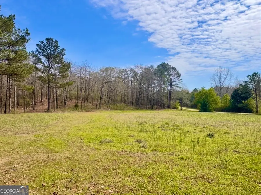 2331 Hollonville Road, Brooks, GA 30205 - #3