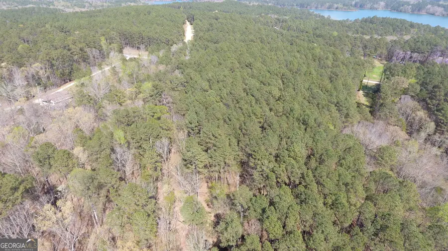 0 Gregg Shoals Drive, Elberton, GA 30635 - #3