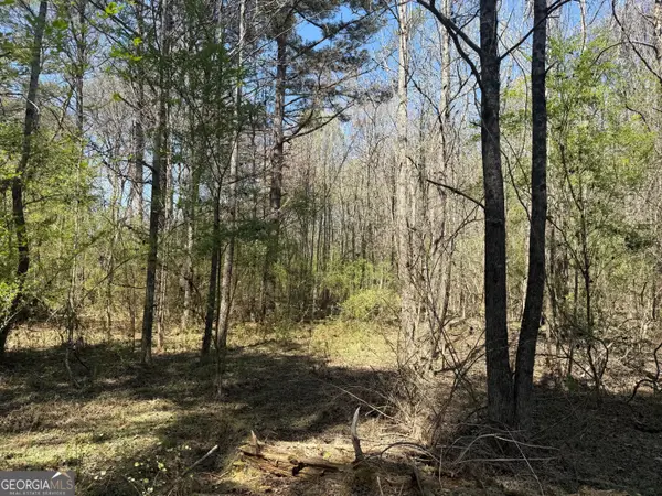 78 Mullinax Road, Taylorsville, GA 30178