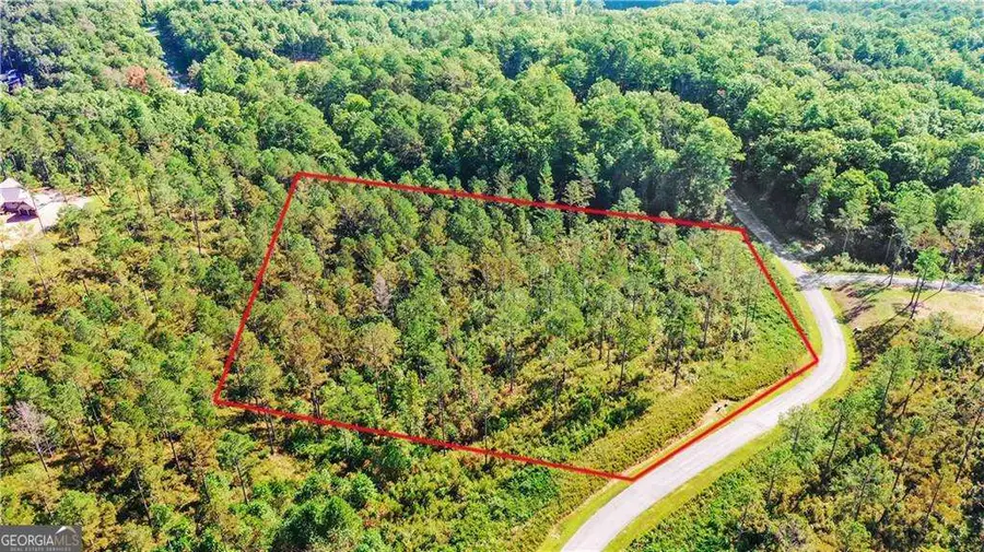 13 Poetic Court, Ellijay, GA 30540 - #3