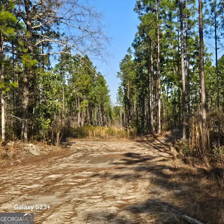 0 Mill Branch Club Road 1b, Pembroke, GA 31321 - #2