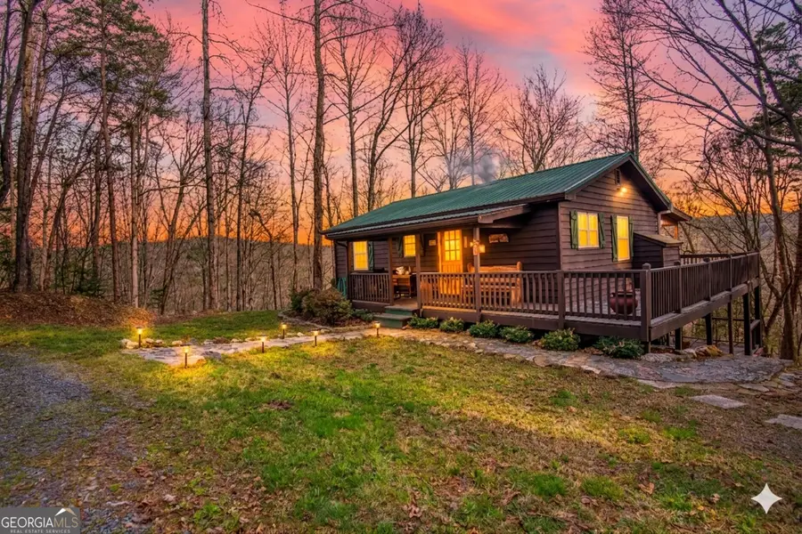 82 Dawgs Drive, Mineral Bluff, GA 30559 - #2