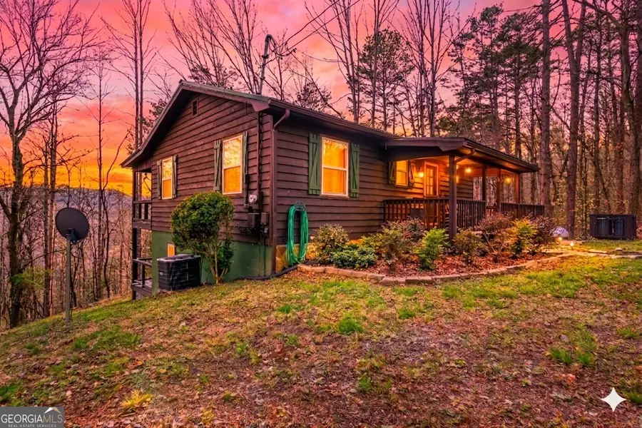 82 Dawgs Drive, Mineral Bluff, GA 30559 - #3