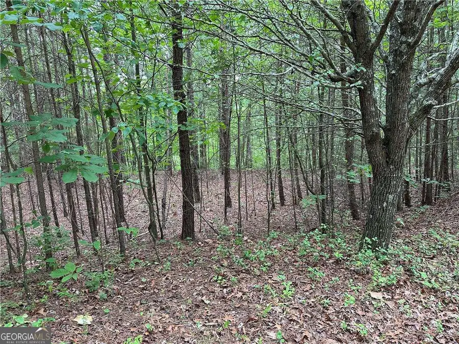 585 Galaxy Way, Ranger, GA 30734 - #3