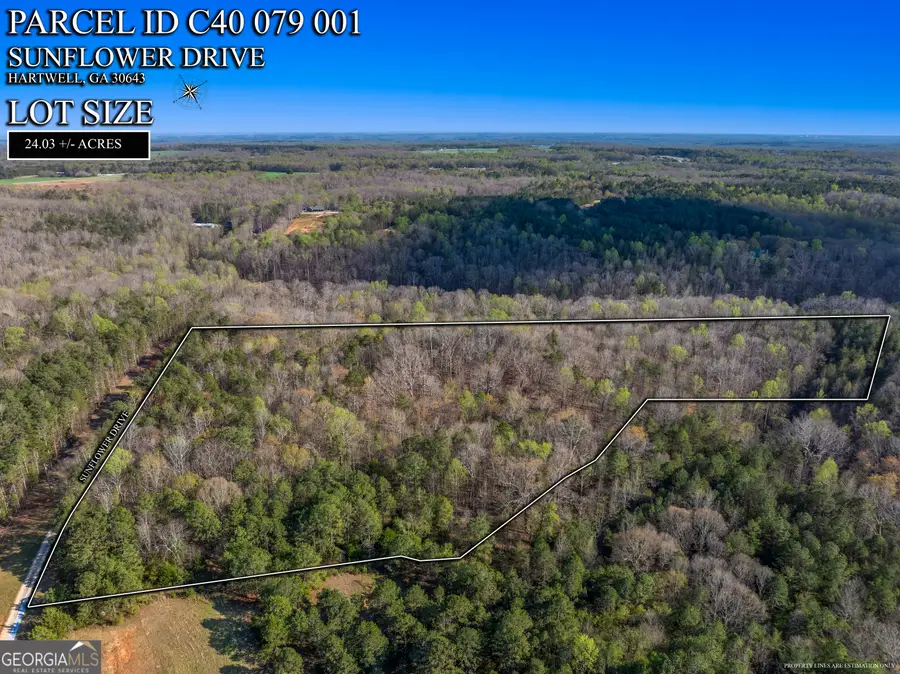 0 Sunflower Drive, Hartwell, GA 30643 - #2