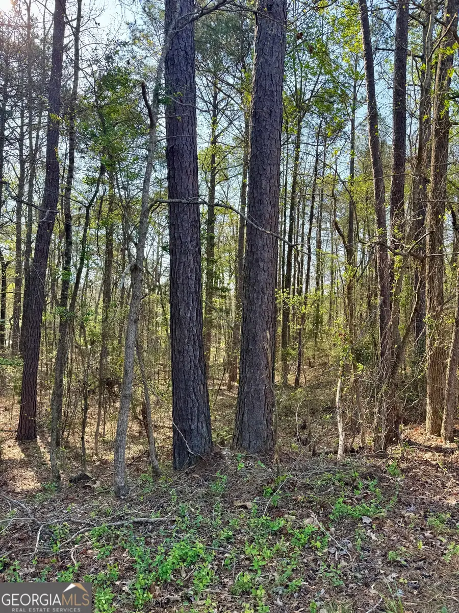 0 Leisure Circle, Pine Mountain, GA 31822 - #2