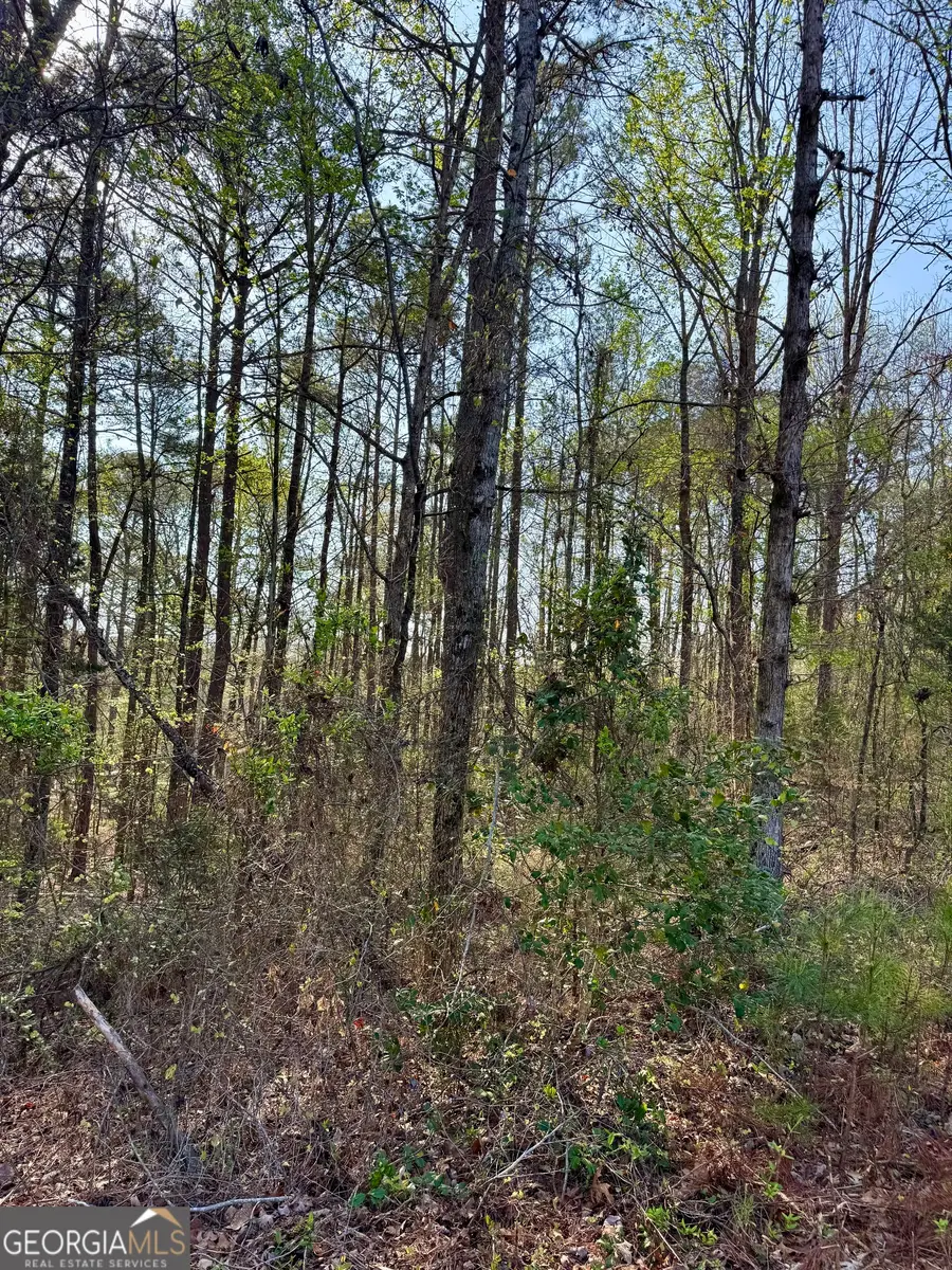 0 Leisure Circle, Pine Mountain, GA 31822 - #3