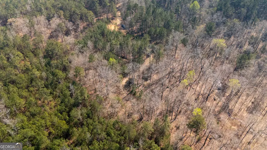 0 Lower Big Springs Road, Lagrange, GA 30241 - #3