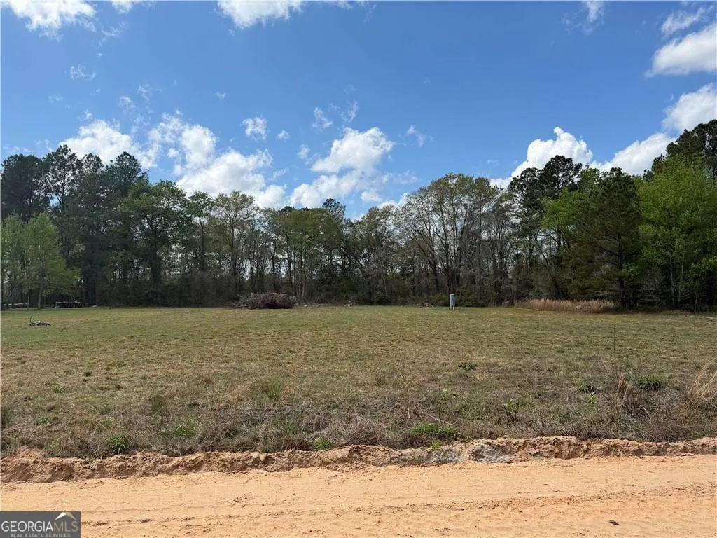 359 Cane Circle, Nahunta, GA 31553 - #1