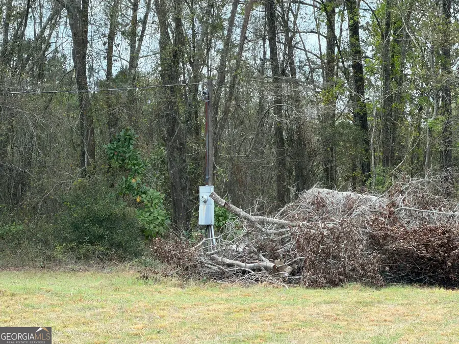 359 Cane Circle, Nahunta, GA 31553 - #2