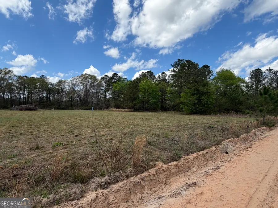 359 Cane Circle, Nahunta, GA 31553 - #3