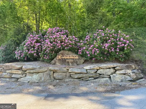 0 Yellow Trillium (lot 13), Clayton, GA 30525