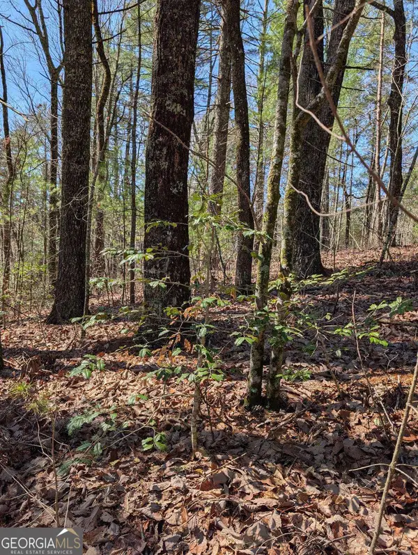 0 Amber Lane, Ellijay, GA 30540