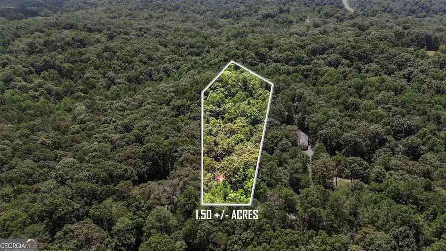 186 Sweetbriar Drive #LOT 10, Demorest, GA 30535 - #2