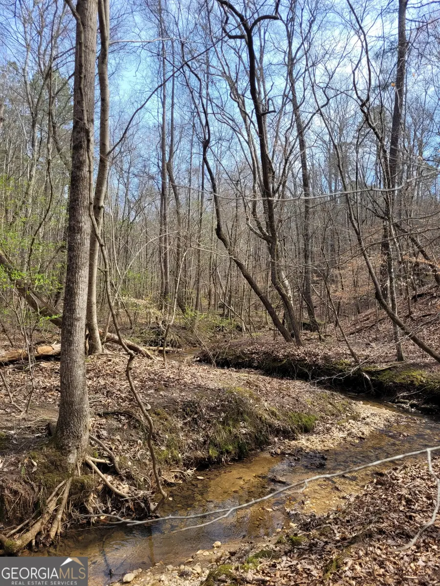 2600 Mcpherson Church Road, Dallas, GA 30132 - #3