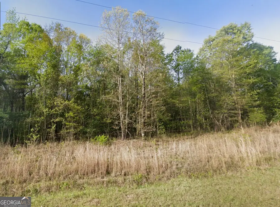 0 Snow Hill Church Road #LOT D-11, Gordon, GA 31031 - #2