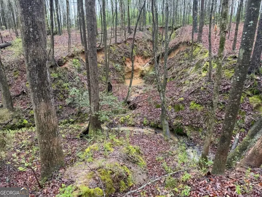 1791 Mcress Gin Road, Watkinsville, GA 30677 - #3