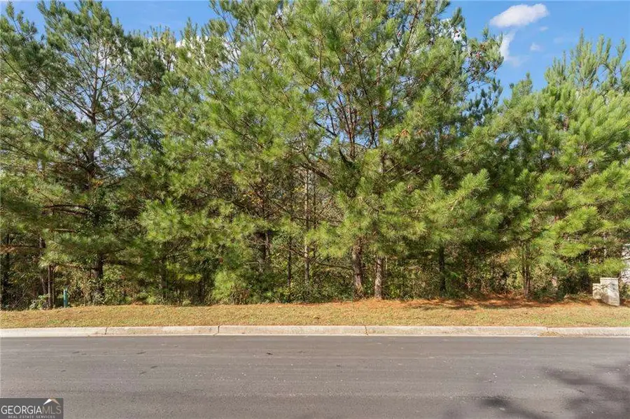 640 Crimson Drive, Dallas, GA 30132 - #3