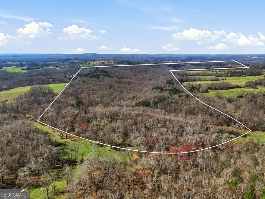 099012 Martin Road, Talmo, GA 30575 - #3