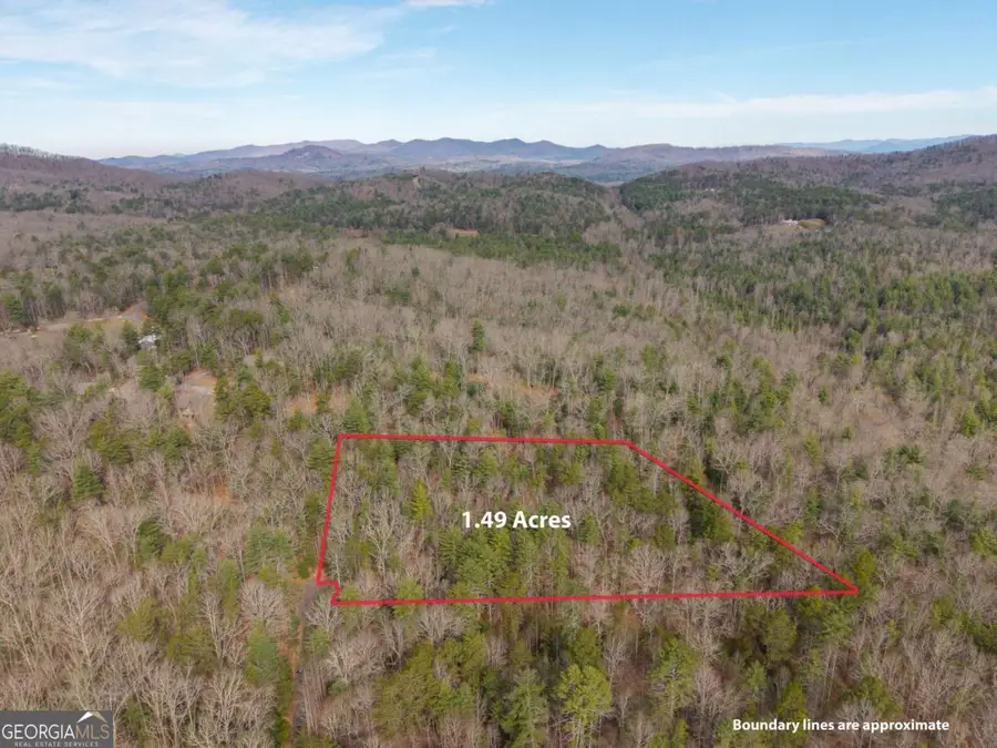 LOT 6 Hampton Road #6, Morganton, GA 30560 - #2