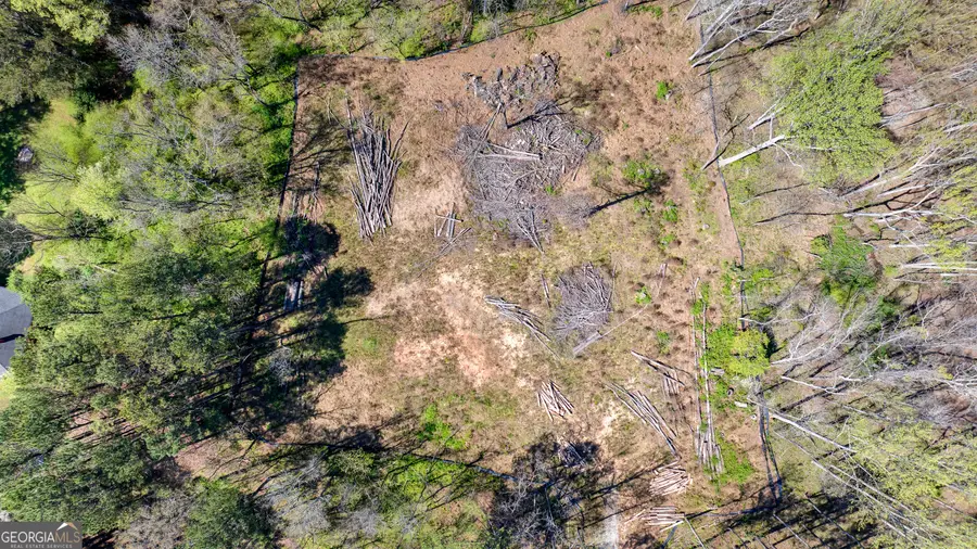 BTWN 1653 & 169 Hwy 85 South, Fayetteville, GA 30215 - #2