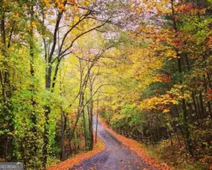 0 Oak Trace, Jasper, GA 30143 - #3