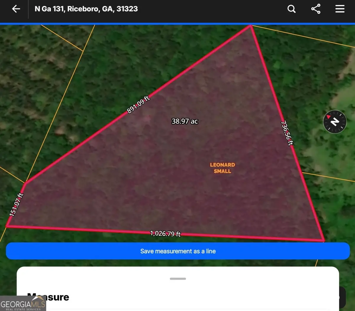 N/S HWY 131 Lecounte Road, Riceboro, GA 31323 - #1