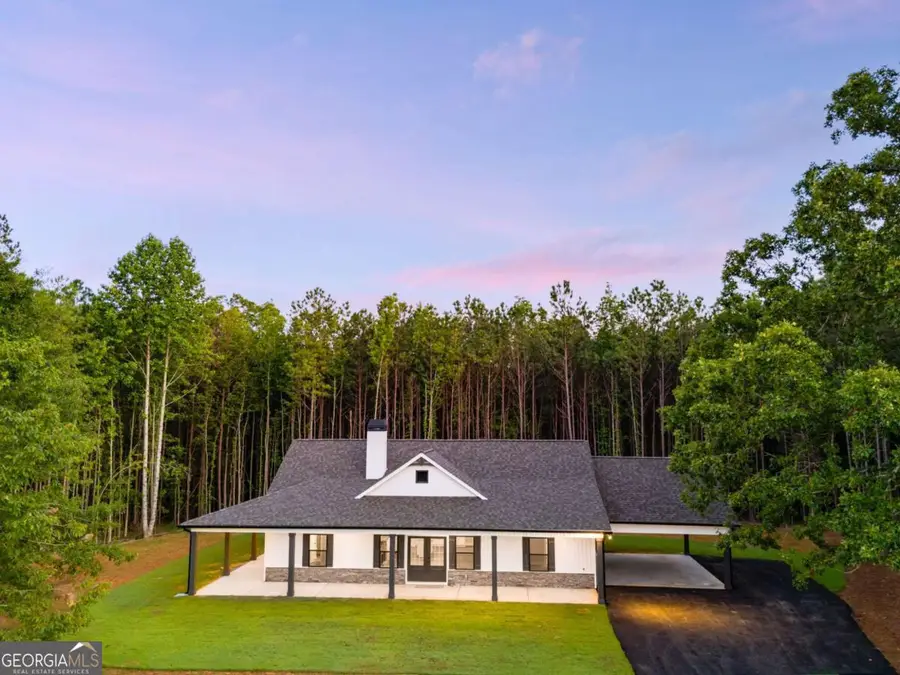 TRACT5 Georgia Highway 100, Buchanan, GA 30113 - #3