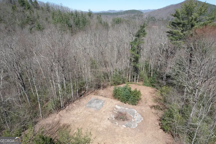 457 Youngblood Drive, Blairsville, GA 30512 - #3