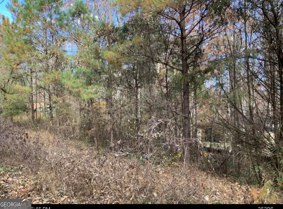 401 Southern Road, Ellijay, GA 30540 - #2