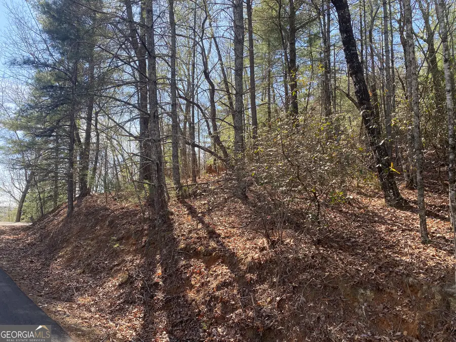 LOT 27 Lake Rabun Bluffs, Lakemont, GA 30552 - #2