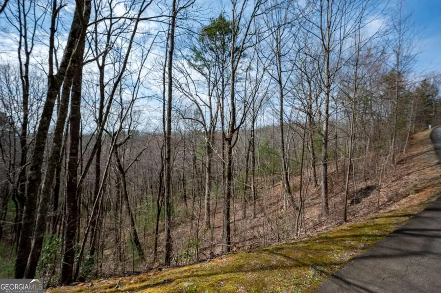 LOT 7 Oceola Drive, Ellijay, GA 30540 - #3