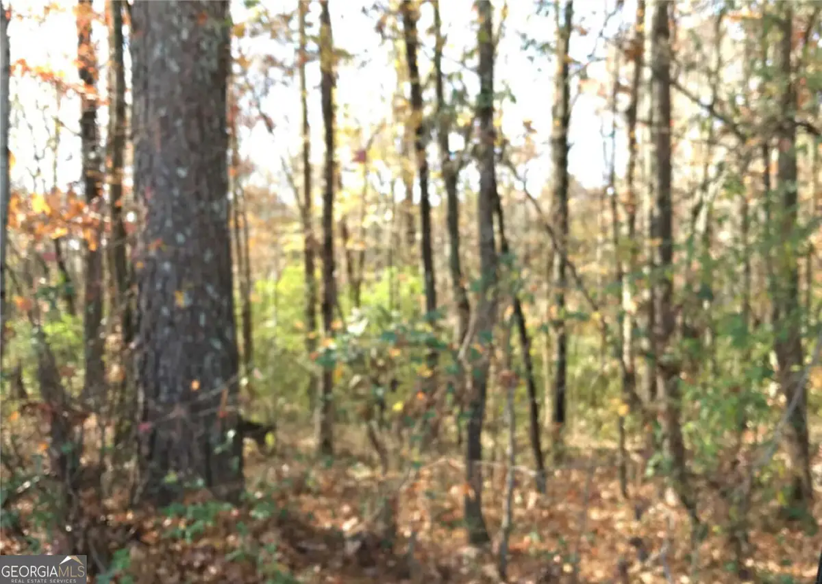 0 E Midland Avenue, Winder, GA 30680 - #1