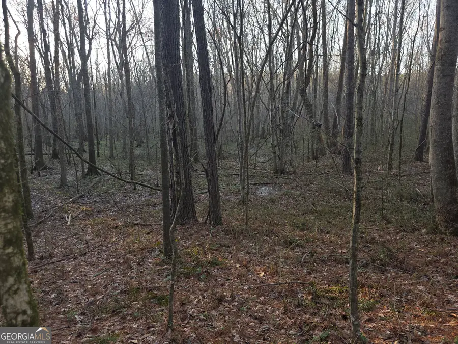 0 Golden Rd, Temple, GA 30179 - #3