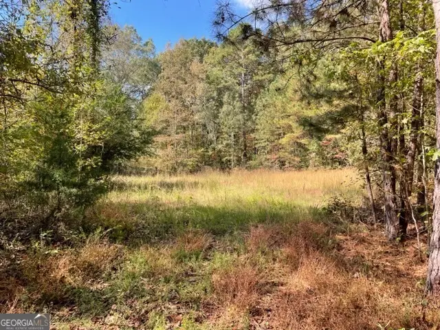 1340 Price Bridge Road, Lyerly, GA 30730 - #1