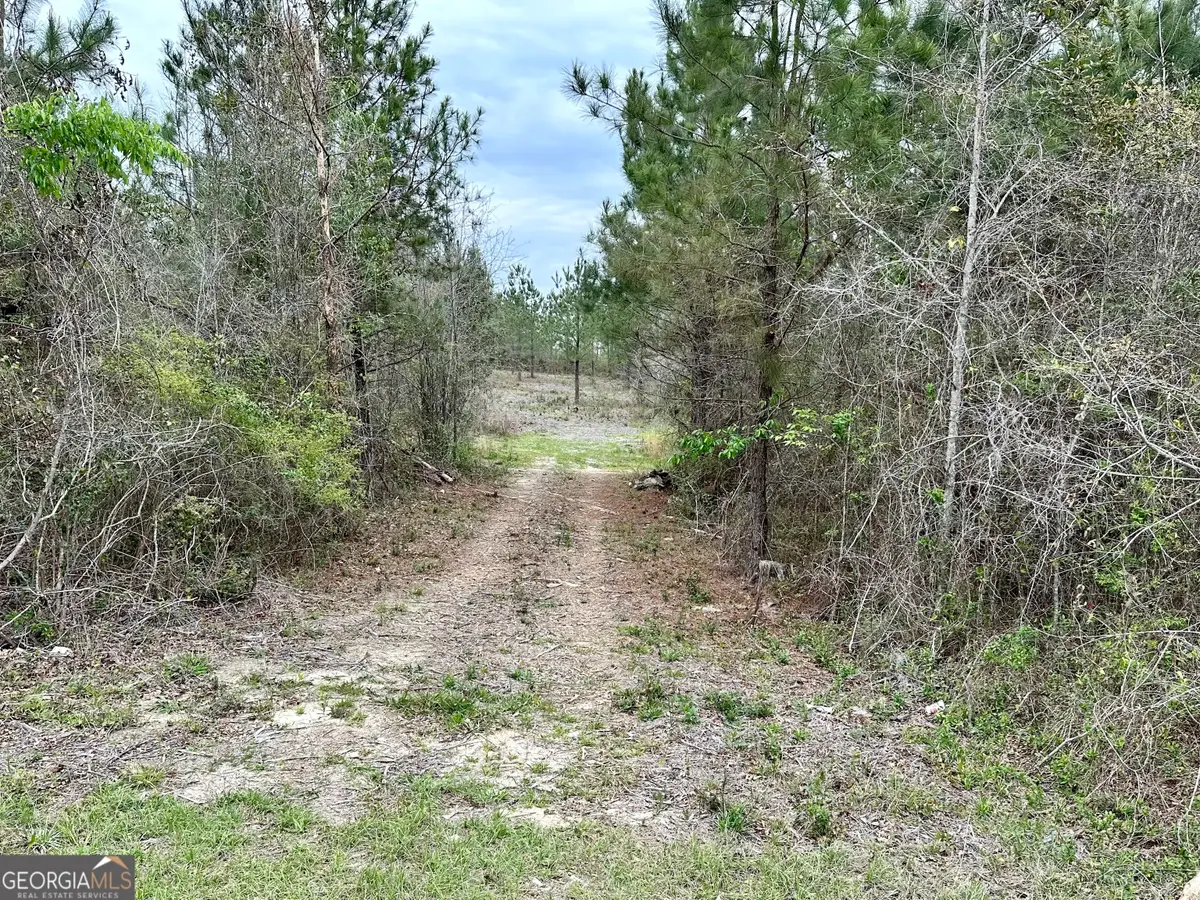 1976 Rock Springs Road, Dublin, GA 30121 - #1