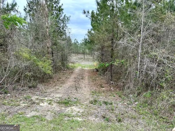 1976 Rock Springs Road, Dublin, GA 30121