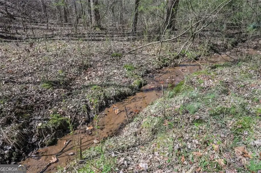 LOT 62 Cherokee Wood Hollow Dr, Ball Ground, GA 30107 - #2
