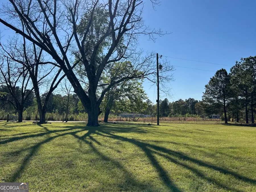 4645 Pleasant Plains Road, Harrison, GA 31035 - #3