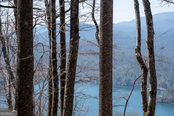 LOT 11 Rainwater Trail, Tiger, GA 30576