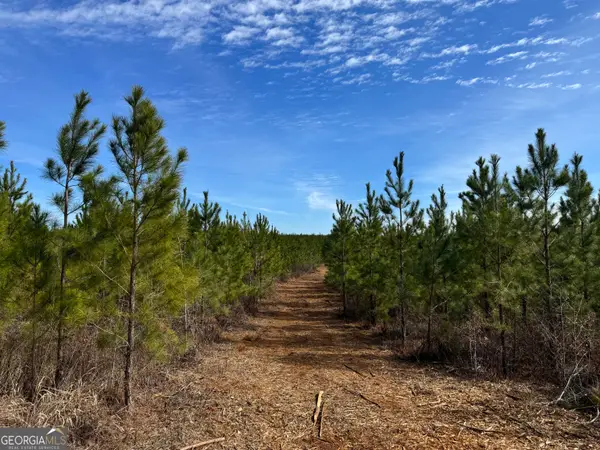 023 Marvin Murphy Road, Ellaville, GA 31806