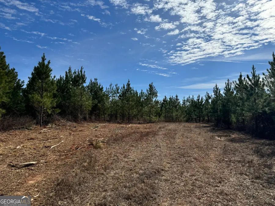 023 Marvin Murphy Road, Ellaville, GA 31806 - #3