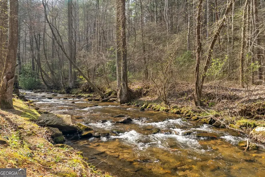 881 Fox Mountain Road, Cherry Log, GA 30522 - #3