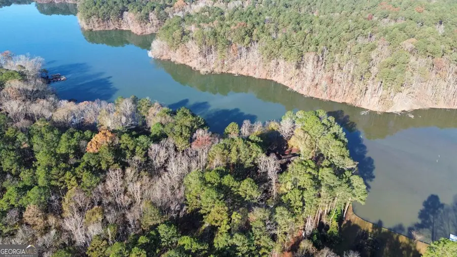 1290 Tal Lewis Road, White Plains, GA 30678 - #3