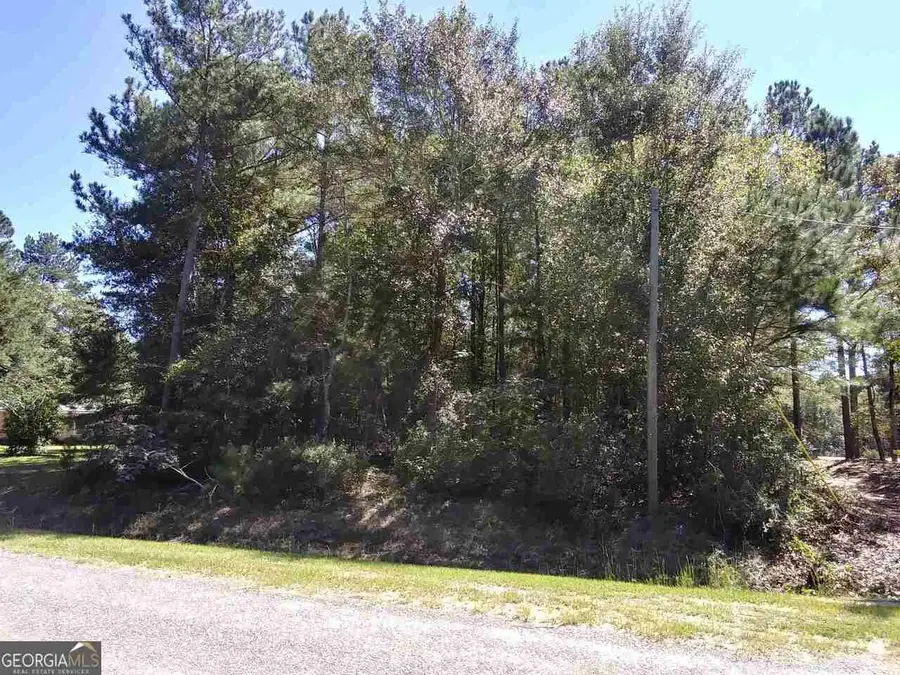 0 Glover Road, Harrison, GA 31035 - #3