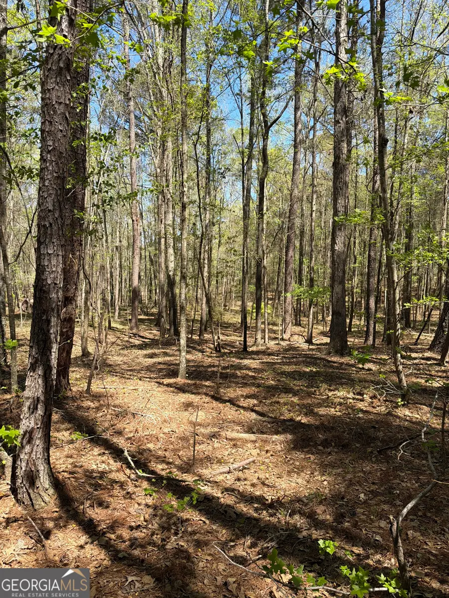 N/A Old Union Point Road, Greensboro, GA 30642 - #2