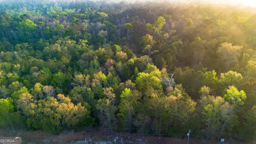 0 Little Mccall Road, Rincon, GA 31326 - #2