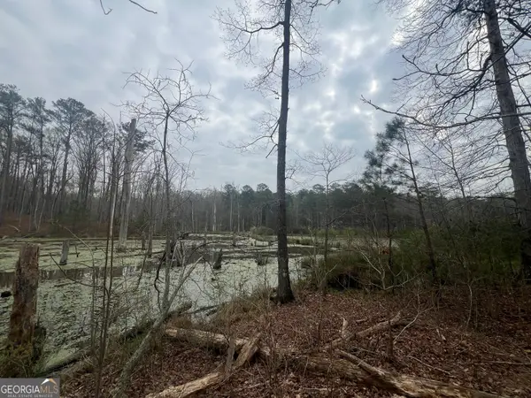 0 Bethlehem Church Road, Grantville, GA 30220