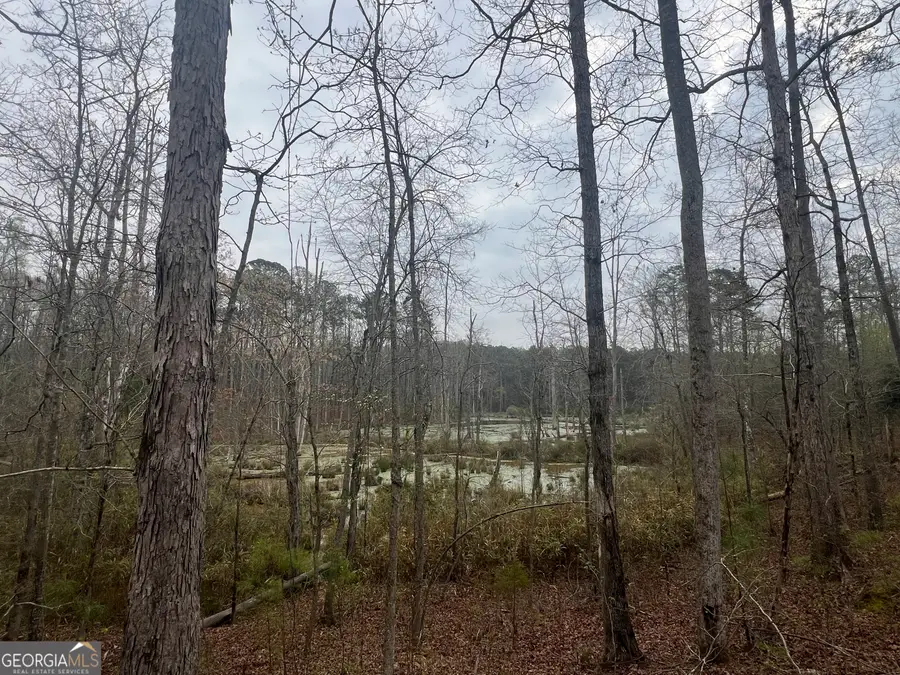 0 Bethlehem Church Road, Grantville, GA 30220 - #3