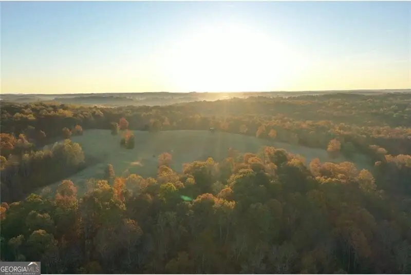 2320 Hardman Road, Clarkesville, GA 30523 - #1